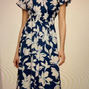NWT GAP Floral Blue and White Dress